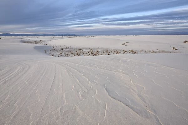 Patterns in the dunes, White Sands National Monument, New Mexico, United States of America, North America