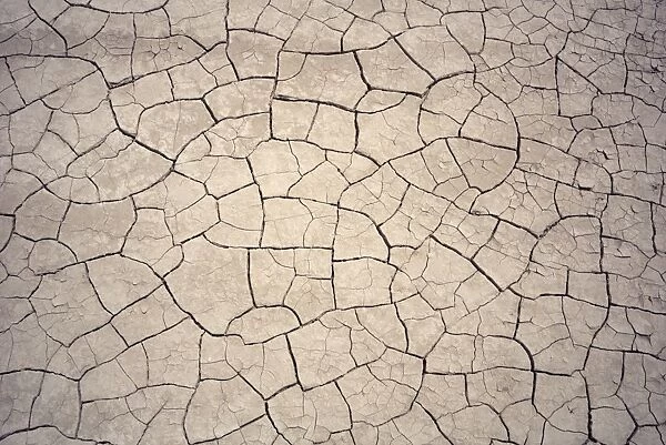 Patterns in mud cracks in drought area