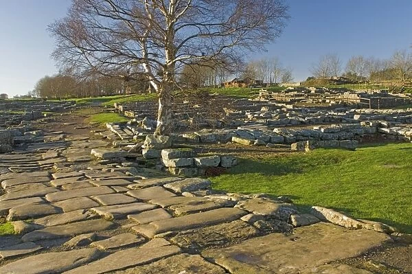 Paved roadway, Via Praetoria, and soldiers quarters, Roman settlement and fort at Vindolanda