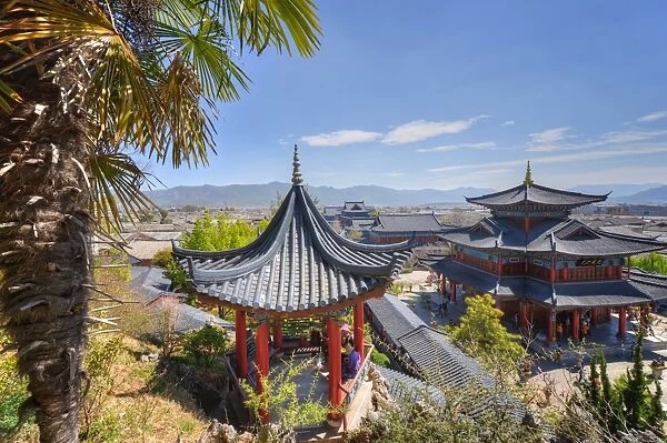 Pavilions and palm leaves at Mufu Wood Mansion, Lijiang, Yunnan, China, Asia