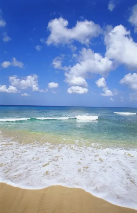 Framed Print : Paynes Bay, Barbados, Caribbean Framed Print : Paynes Bay, Barbados, Caribbean