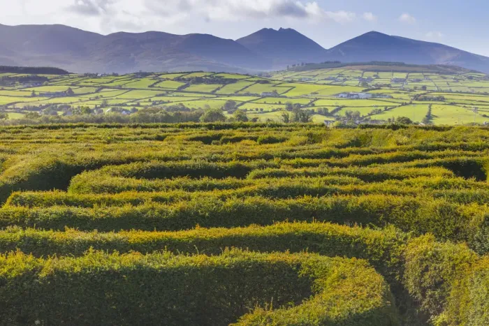 Framed Print : The Peace Maze, Castlewellan, County Down, Ulster, Northern Ireland, United Kingdom Framed Print : The Peace Maze, Castlewellan, County Down, Ulster, Northern Ireland, United Kingdom