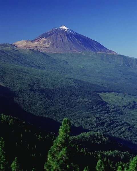 Peak of Mount Teide and pine trees from Mirador Ortuno