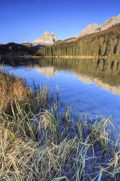 The Three Peaks of Lavaredo and woods reflected in Lake Misurina, Auronzo of Cadore