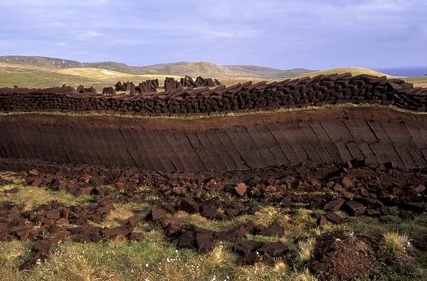 Peat cutting
