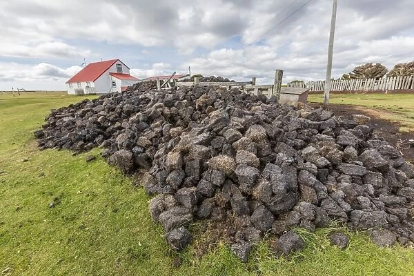 Peat drying in the wind for fuel at Long Island Sheep Farms, outside Stanley, Falkland Islands, U. K. Overseas Protectorate, South America