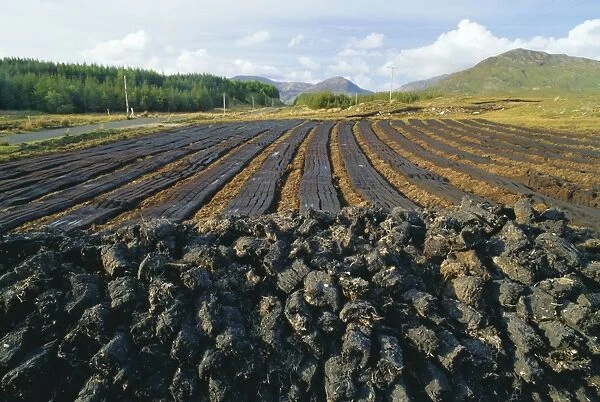 Peat farming or cutting