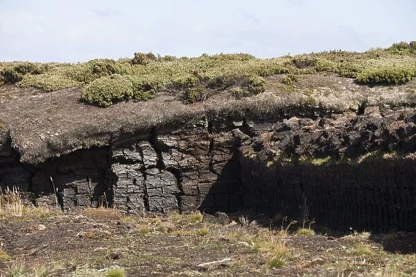 Peat used for fires, Port Stanley, Falkland Islands, South America