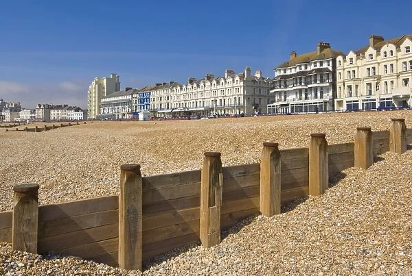 Pebble beach and groynes, hotels on the seafront promenade, Eastbourne