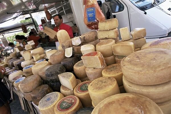 Pecorino cheese in the market