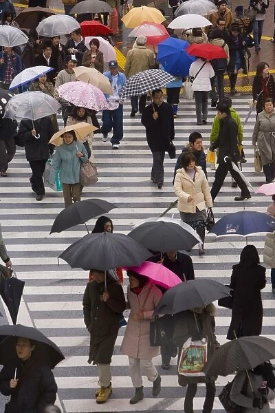 Pedestrians crossing a busy intersection with umbrellas