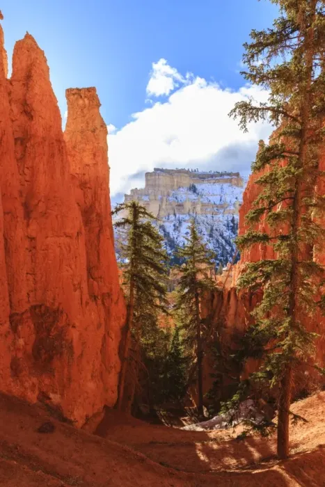 Framed Print : Peekaboo Loop Trail switchbacks wind through hoodoos lit by early morning sun in winter, Bryce Canyon National Park, Utah, United States of America, North America Framed Print : Peekaboo Loop Trail switchbacks wind through hoodoos lit by early morning sun in winter, Bryce Canyon National Park, Utah, United States of America, North America