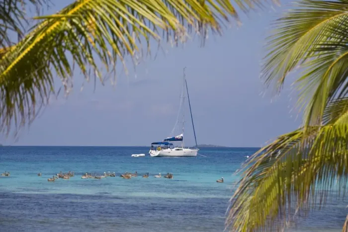 Framed Print : Pelicans in front of catamaran, Laughing Bird Caye National Park, UNESCO World Heritage Site Framed Print : Pelicans in front of catamaran, Laughing Bird Caye National Park, UNESCO World Heritage Site