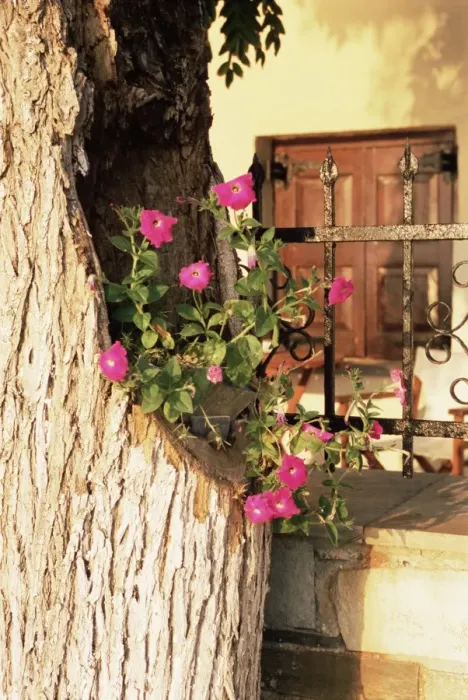 Framed Print : Pelion, Greece Framed Print : Pelion, Greece