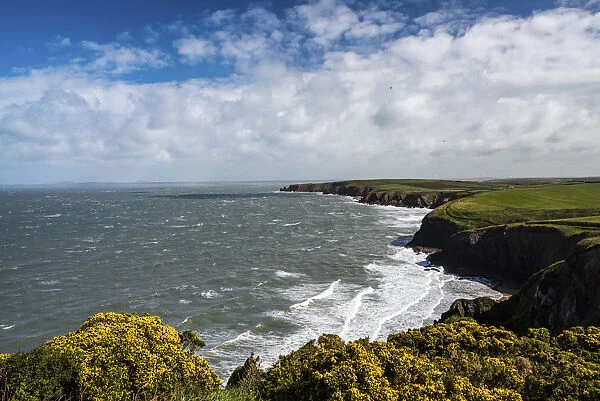 Pembrokeshire Coast National Park, seen near Marloes and St