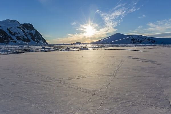 Penguin tracks left on first year sea ice in the Lemaire Channel, Antarctica, Polar Regions
