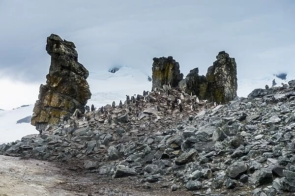 Penguins below dramatic rock formations, Half Moon Bay, South Sheltand Islands, Antarctica
