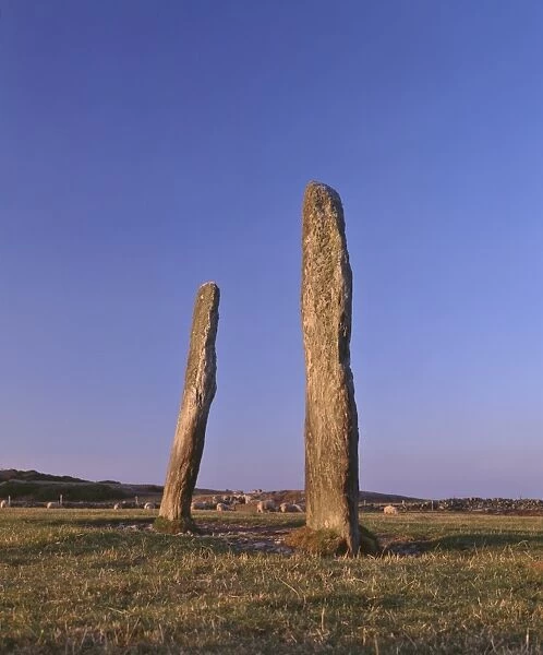 Penrhos Feilw standing stones, 3m high and 3. 3m apart, probably erected in the early Bronze Age between 2000 and 1500BC, Anglesey, Gwynedd, North Wales, United