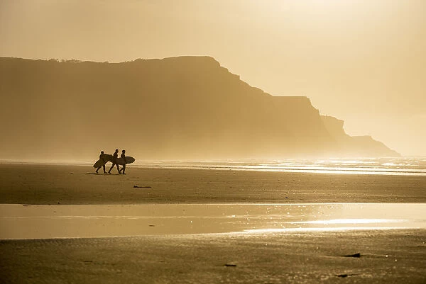 People carrying surfboards walking along beach in the evening sunlight, Rhossili