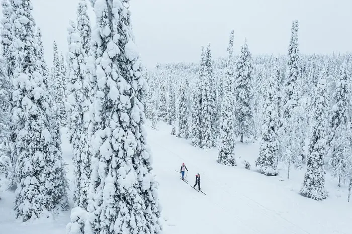 Framed Print : Two people cross country skiing in the snowy forest, aerial view, Lapland, Finland, Europe Framed Print : Two people cross country skiing in the snowy forest, aerial view, Lapland, Finland, Europe