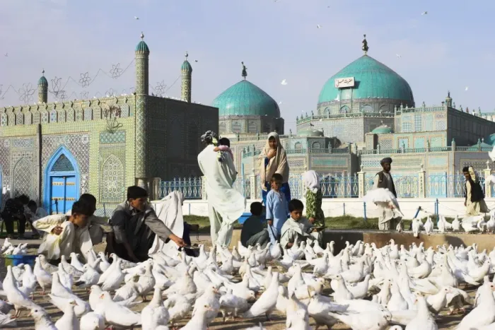 Framed Print : People feeding famous white pigeons at Shrine of Hazrat Ali, Mazar-I-Sharif Framed Print : People feeding famous white pigeons at Shrine of Hazrat Ali, Mazar-I-Sharif