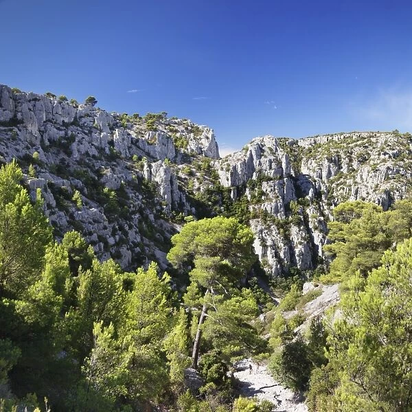 People hiking through rocky landscape of les Calanques, National Park, Cassis, Provence