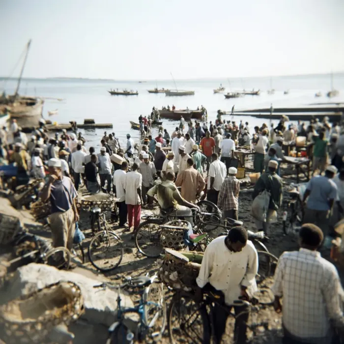 Framed Print : People waiting on beach for dhows to land fish, Stone Town, Zanzibar, Tanzania Framed Print : People waiting on beach for dhows to land fish, Stone Town, Zanzibar, Tanzania