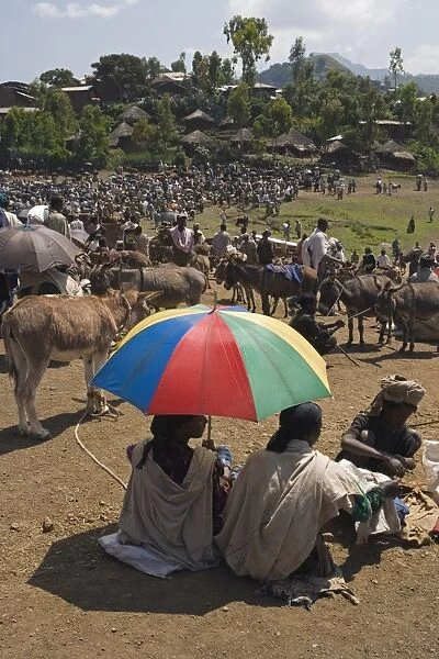 People walk for days to trade in this famous weekly market, Saturday market in Lalibela