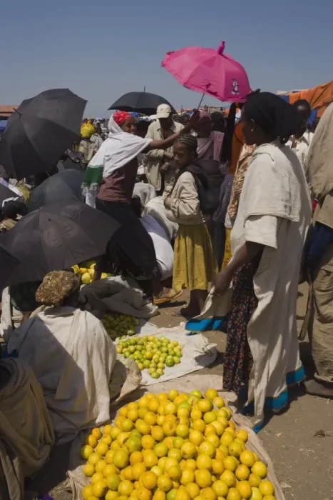 Framed Print : People walk for days to trade in this famous weekly market, Saturday market in Lalibela Framed Print : People walk for days to trade in this famous weekly market, Saturday market in Lalibela