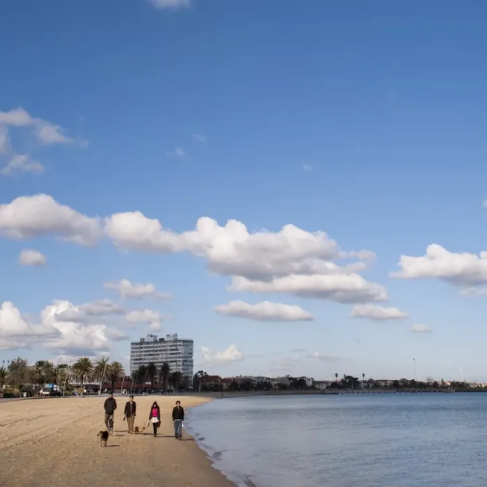 Framed Print : People walking their dogs, St. Kilda Beach, Melbourne, Victoria, Australia, Pacific Framed Print : People walking their dogs, St. Kilda Beach, Melbourne, Victoria, Australia, Pacific