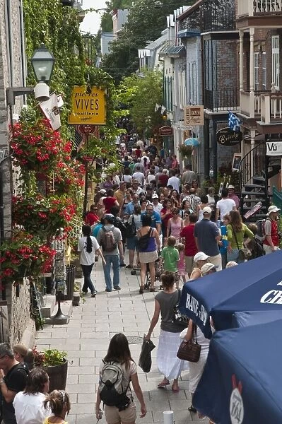 People walking on Rue du Petit Champlain, Quebec City, Quebec, Canada, North America