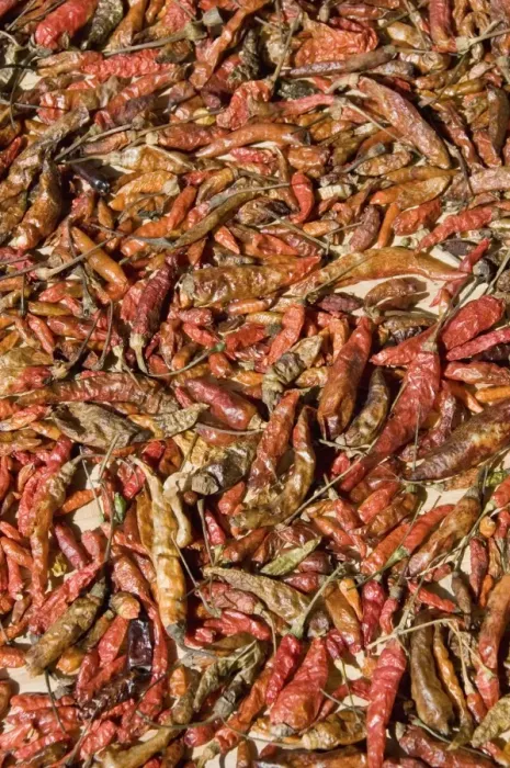 Framed Print : Peppers in market, Luang Prabang, Laos Framed Print : Peppers in market, Luang Prabang, Laos
