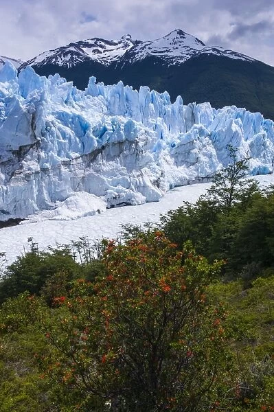 Perito Moreno Glacier, Los Glaciares National Park, UNESCO World Heritage Site, Patagonia, Argentina, South America