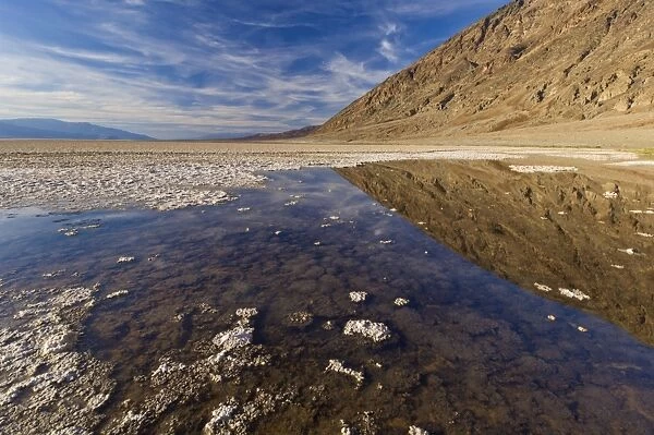 A permanent springfed pool near the salt pans at Badwater Basin, 282ft below sea level