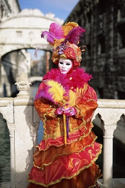 Person dressed in carnival mask and costume