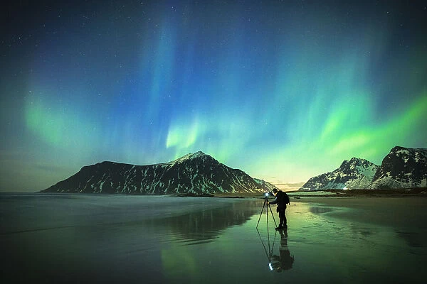 Person photographing the bright sky during Aurora Borealis (Northern Lights) standing on Skagsanden beach, Lofoten Islands, Norway, Scandinavia, Europe