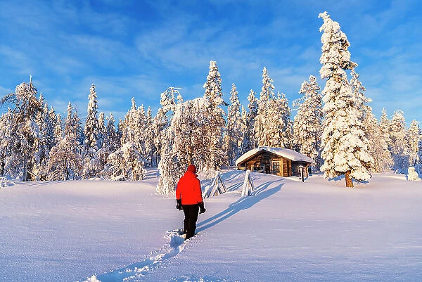 Person stands in front of an isolated mountain hut among trees covered with snow, Swedish Lapland, Norrbotten, Sweden, Scandinavia, Europe