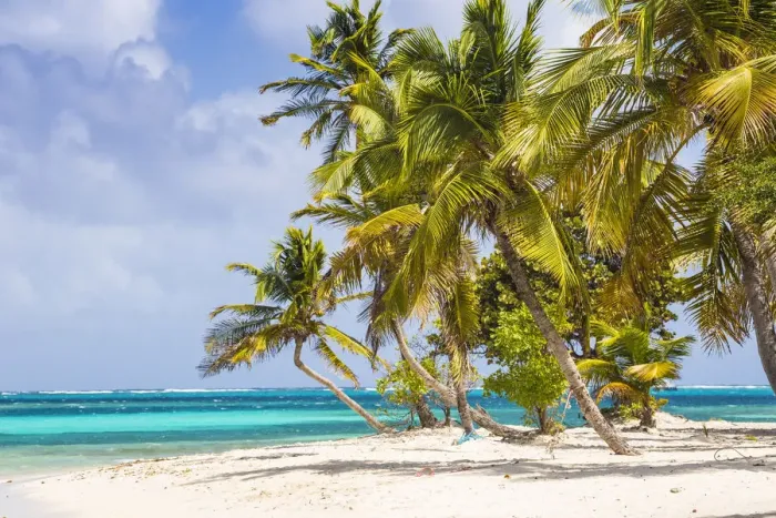 Framed Print : Petit Bateau, Tobago Cays, The Grenadines, St. Vincent and The Grenadines, West Indies Framed Print : Petit Bateau, Tobago Cays, The Grenadines, St. Vincent and The Grenadines, West Indies