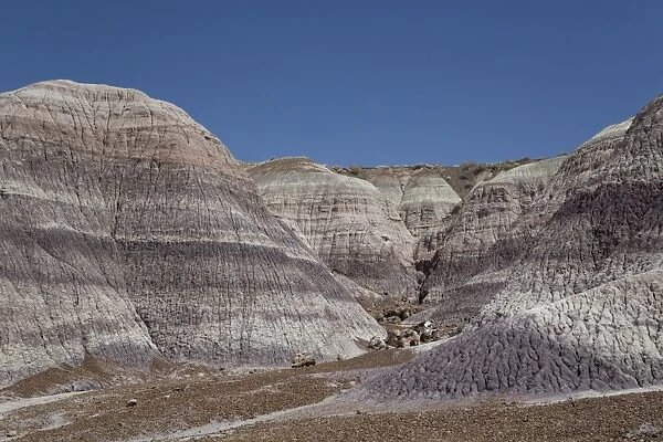 Petrified Forest National Park, Blue Mesa, Blue Mesa Trail, sedimentary layers of bluish bentonite clay