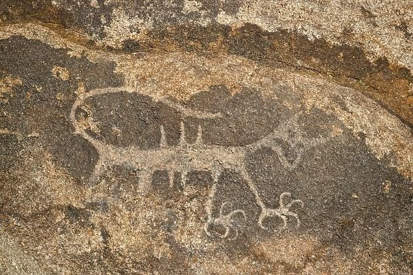 Petroglyph, Alabama Hills, Inyo National Forest, California, United States of America