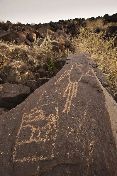 Petroglyph National Monument, Albuquerque, New Mexico, United States of America