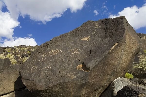 Petroglyph National Monument (Boca Negra Canyon), Albuquerque, New Mexico, United States of America, North America