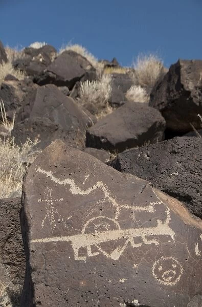 Petroglyph National Monument, New Mexico, United States of America, North America