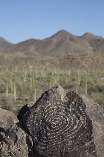 Petroglyphs, created by the prehistoric Hohokam people, about 1000 years ago, West-Tucson Mountain District, Saguaro National Park, Arizona, United States of America, North America
