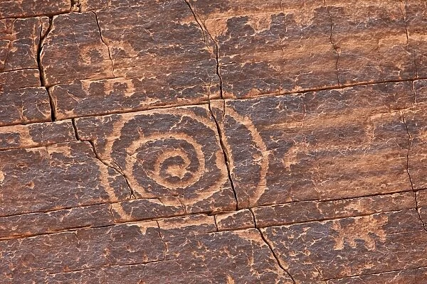 Petroglyphs, Gold Butte, Nevada, United States of America, North America
