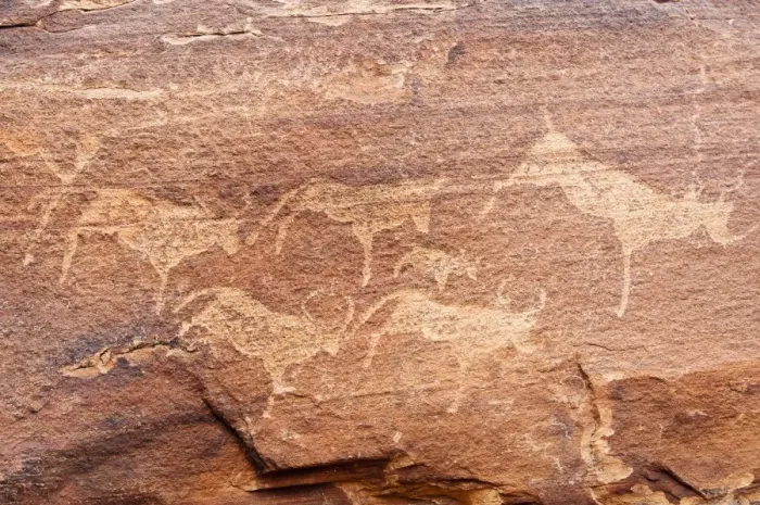 Framed Print : Petroglyphs or rock engravings, Twyfelfontein, UNESCO World Heritage Site, Damaraland, Kunene Region, Namibia, Africa Framed Print : Petroglyphs or rock engravings, Twyfelfontein, UNESCO World Heritage Site, Damaraland, Kunene Region, Namibia, Africa