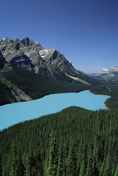 Peyto Lake, Banff National Park, UNESCO World Heritage Site, Alberta, Rockies