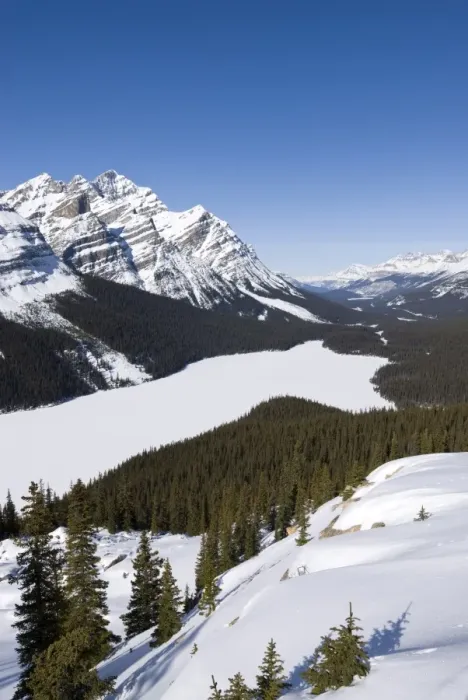 Framed Print : Peyto Lake, Bow Summit, Banff National Park, UNESCO World Heritage Site Framed Print : Peyto Lake, Bow Summit, Banff National Park, UNESCO World Heritage Site
