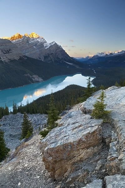 Peyto Lake at sunrise, Banff National Park, UNESCO World Heritage Site, Rocky Mountains
