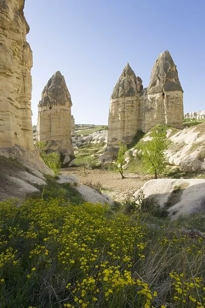 Phallic pillars known as fairy chimneys in the valley known as Love Valley near Goreme in Cappadocia, Anatolia, Turkey, Asia